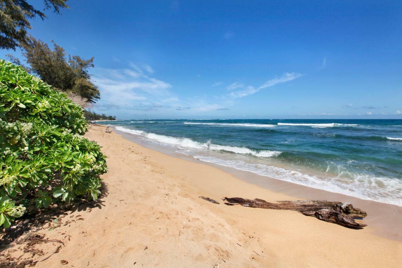 Islander On The Beach 352 Oceanfront *Penthouse* Ac Pool Kapa'a Kültér fotó